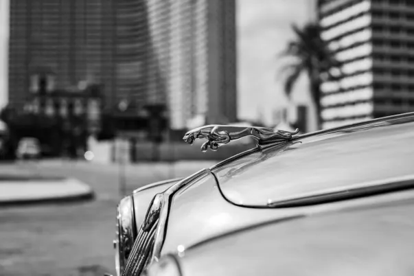 WagerWeb Casino Aip Android/iOS